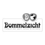 Logo_Dommelzicht
